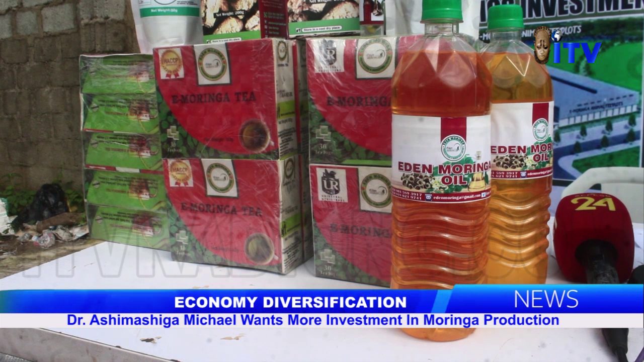 Economy Diversification: Dr. Ashimashiga Micheal Wants More Investment In Moringa Production