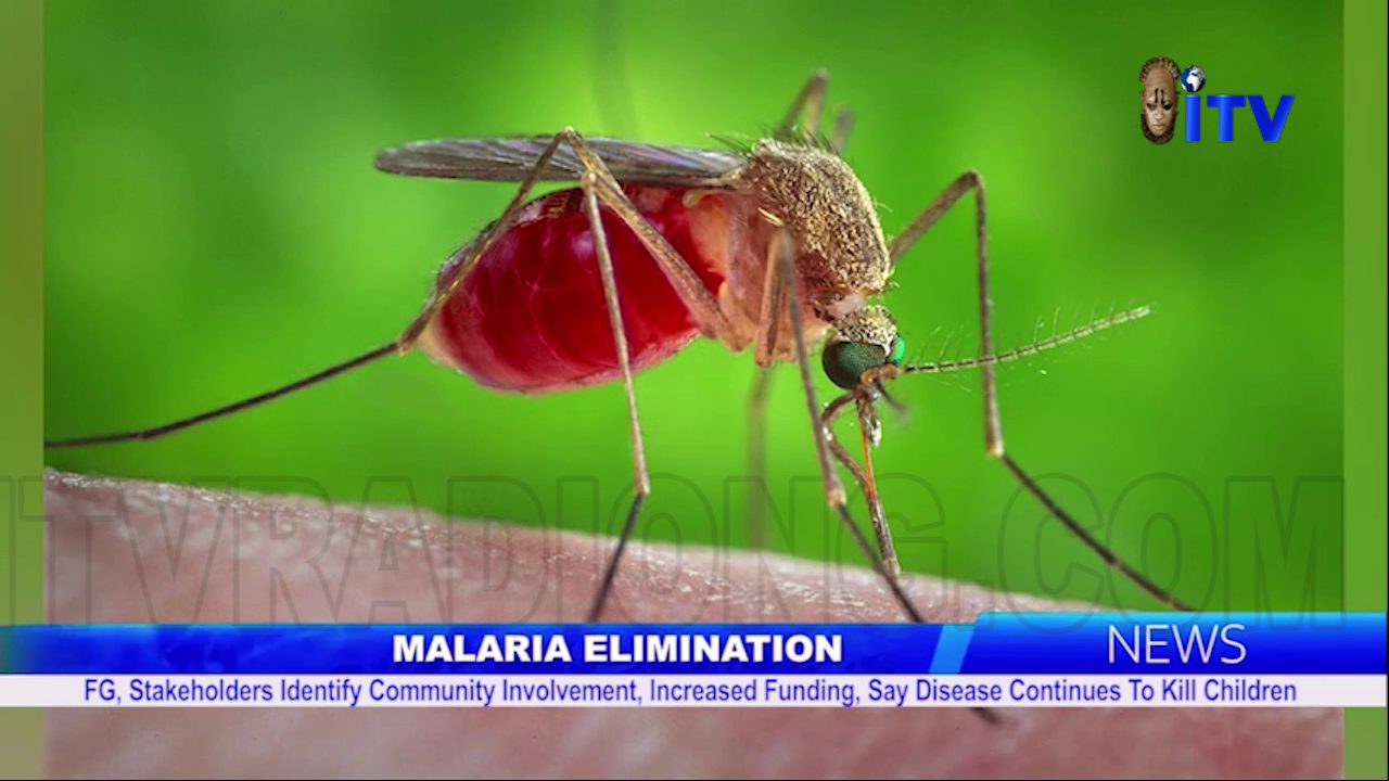 Malaria: FG, Stakeholders Identify Community Involvement, Say Disease Continue To Kill Children