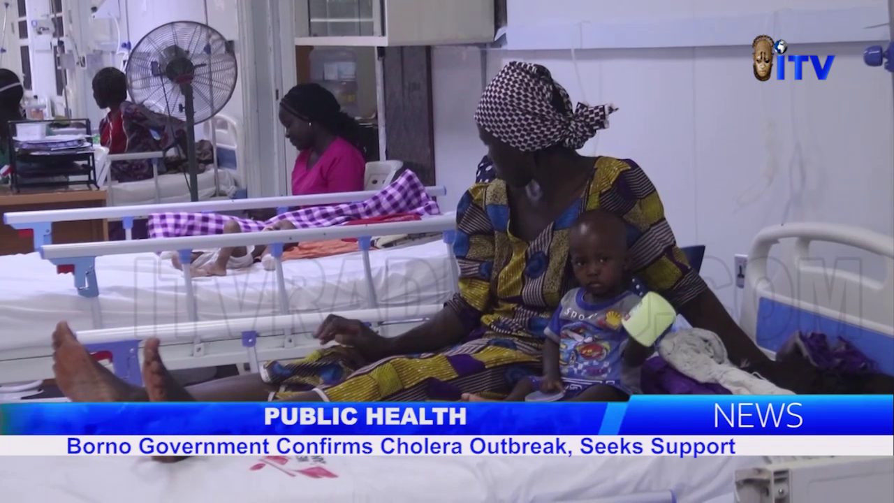 Public Health: Borno Government Confirms Cholera Outbreak, Seeks Support