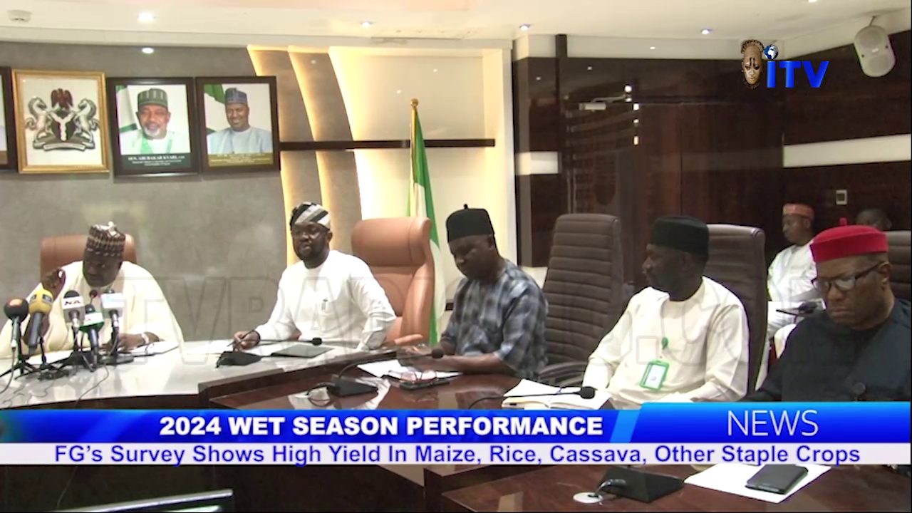 Wet Season Performance: FG’s Survey Shows High Yield In Maize, Rice, Cassava, Other Staple Crops