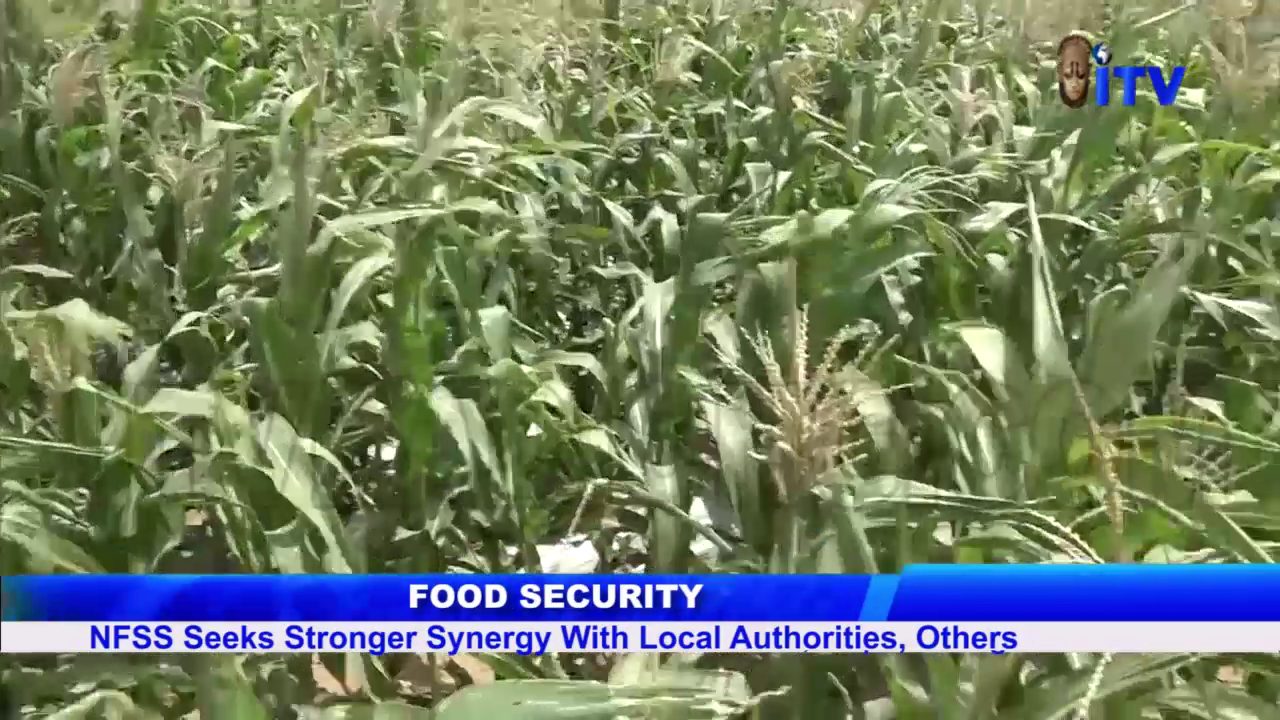 Food Security: NFSS Seek Stronger Synergy With Local Authorities, Others